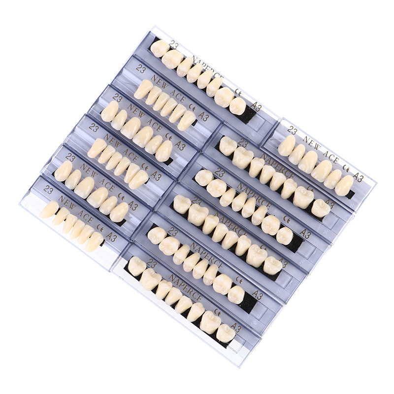 168pcs/box Dental Synthetic Re – Model Kit Ixchel Bewertung und Preis