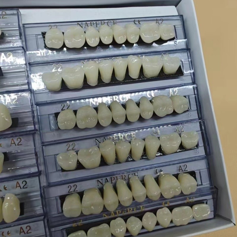 168pcs/box Dental Synthetic Re – Model Kit Ixchel Bewertung und Preis