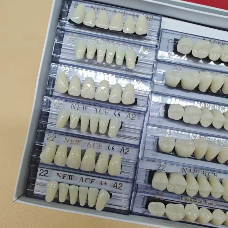 168pcs/box Dental Synthetic Re – Model Kit Ixchel Bewertung und Preis