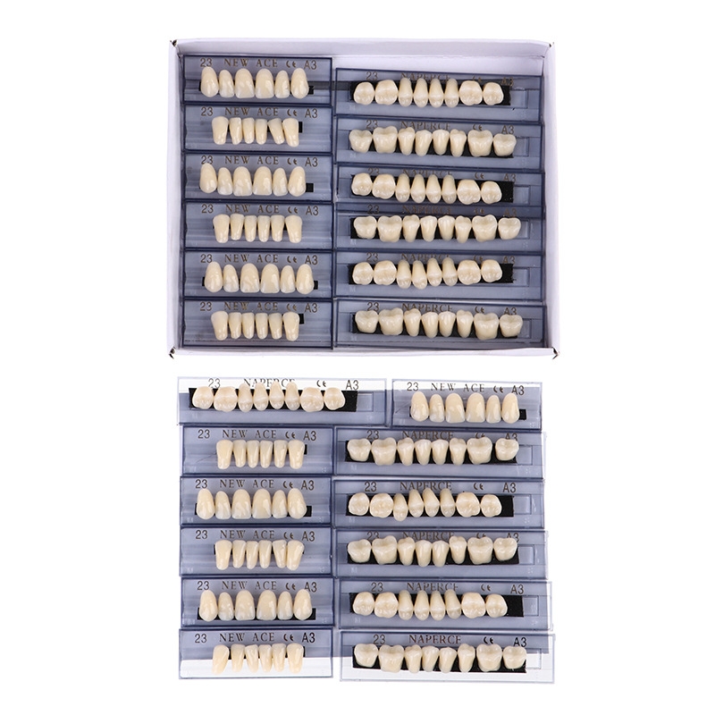 168pcs/box Dental Synthetic Re – Model Kit Ixchel Bewertung und Preis