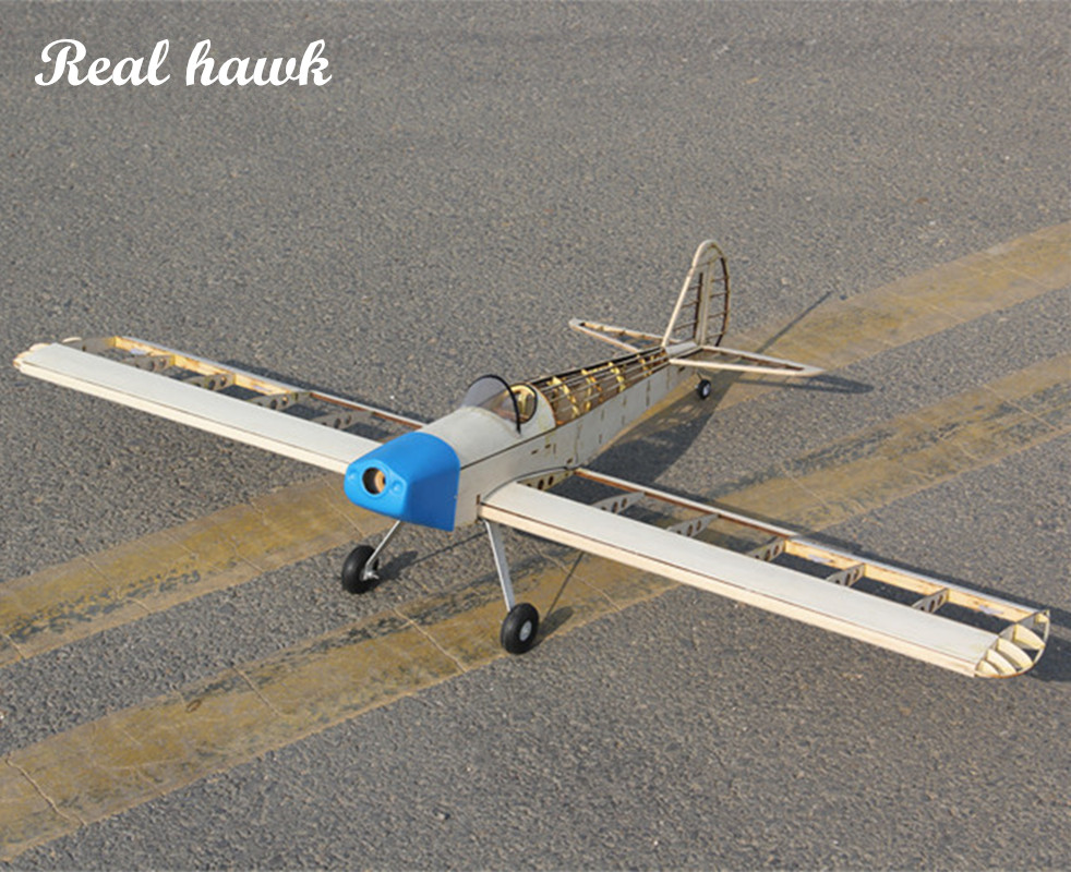 RC AirPlanes Laser Cut Balsa W – Model Kit Simulator Bewertung und Preis